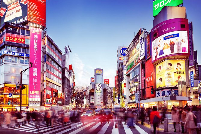 Tokyo Private Transfer From Narita Airport to Central Tokyo - Exclusions