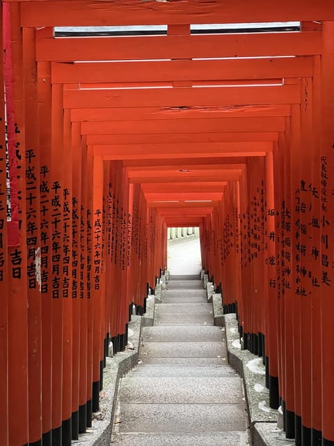TOKYO Private Visit Guide Speaking French - Guide Background and Experience