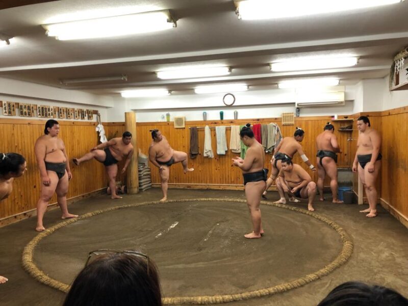 Tokyo: Real Sumo Morning Practice Tour at Yokozuna Stable - Key Points