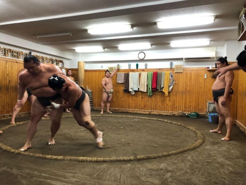 Tokyo: Real Sumo Morning Practice Tour at Yokozuna Stable - Highlights of the Tour