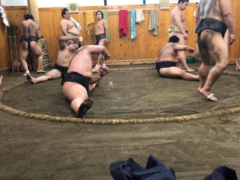 Tokyo: Real Sumo Morning Practice Tour at Yokozuna Stable - Witnessing Sumo Training
