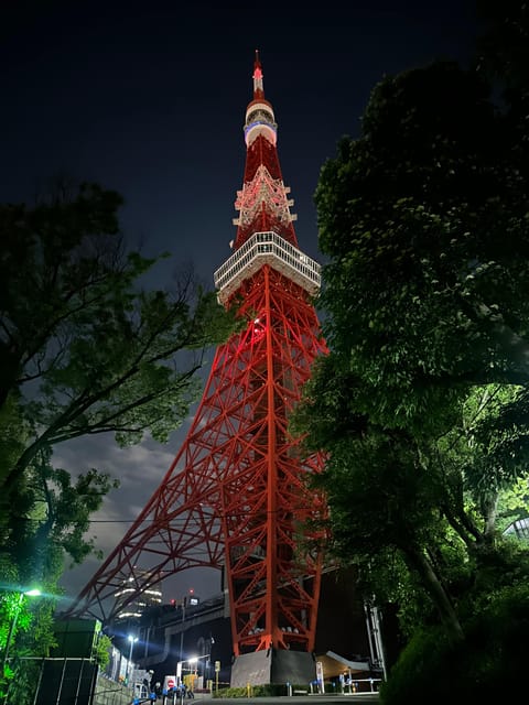 Tokyo: Ride the Skyline From the Fast and the Furious - Suitability and Restrictions
