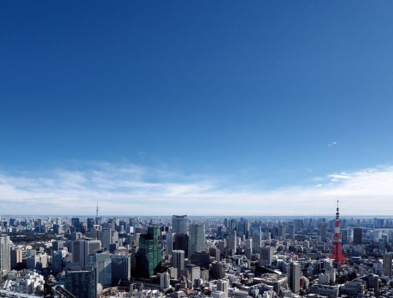 Tokyo: Roppongi Hills Observatory Ticket - Key Points