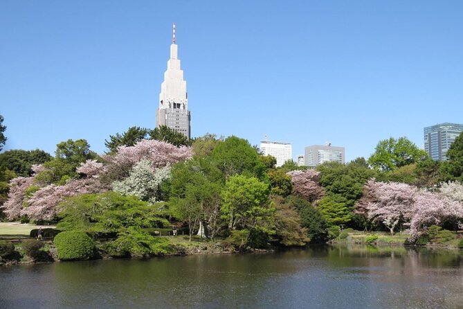 Tokyo Self-Guided Audio Tour - Tour Itinerary and Navigation