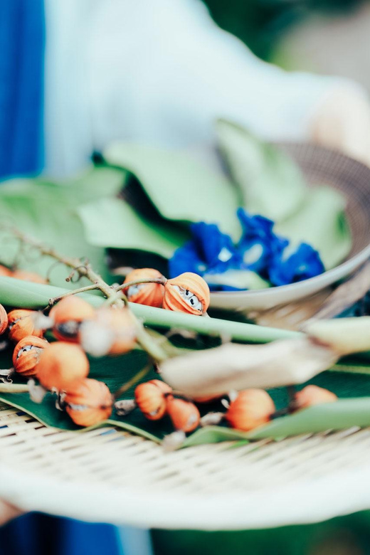 Tokyo, Sendagi: NIPPON Herbal Tea Ceremony - Program Content