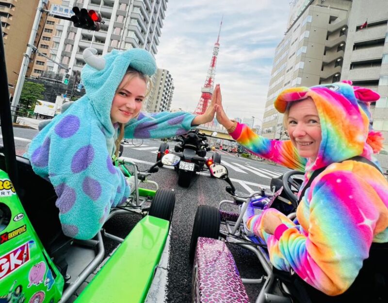 Tokyo: Shibuya Crossing, Harajuku, Tokyo Tower Go Kart Tour - Weather Considerations