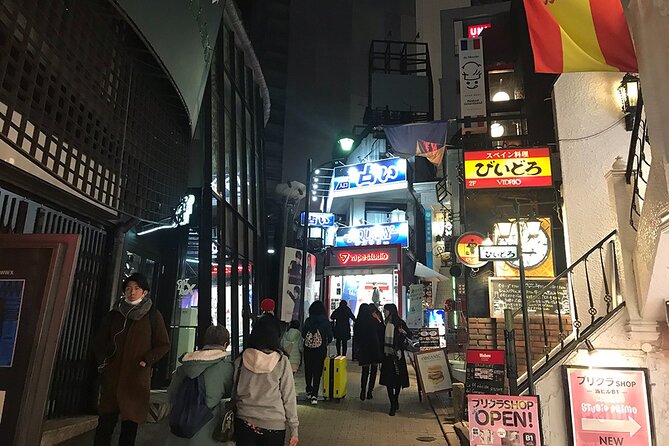 Tokyo Shibuya Crossing Walking Tour - End Point at Hachikō Memorial Statue