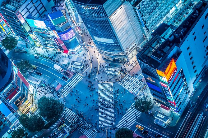 Tokyo Shibuya Crossing Walking Tour - Included Fees and Accessibility Details