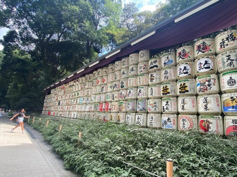 Tokyo Shibuya & Harajuku Walking Tour With a Guide - Guide Expertise