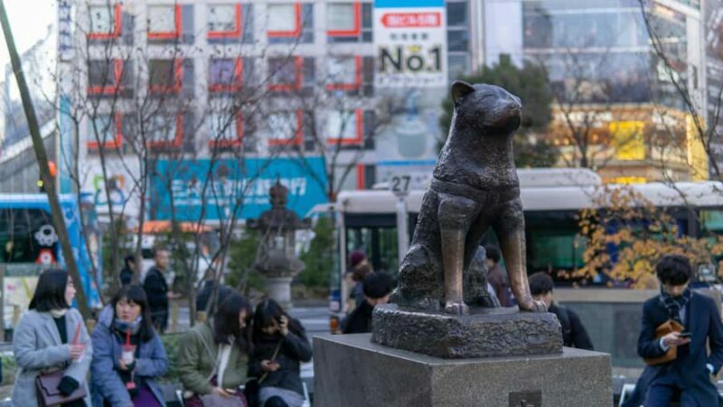 Tokyo: Shibuya Night Walking Tour with Rooftop City Views - Authentic Experiences Highlighted by Travelers