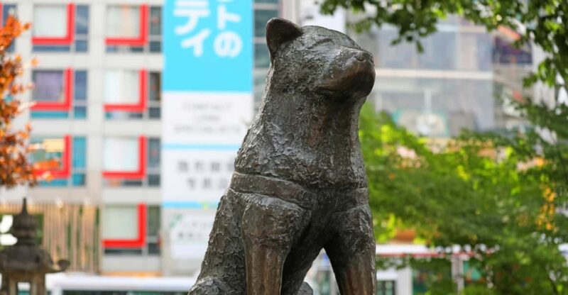 Tokyo: Shibuya Walking Tour With Crossing & Hachiko Statue - Visiting Shibuya Nonbei Yokocho