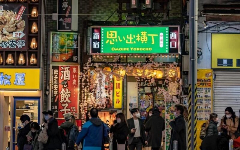 Tokyo: Shinjuku District Guided Half-day Tour at Night - Kabukicho Walkthrough