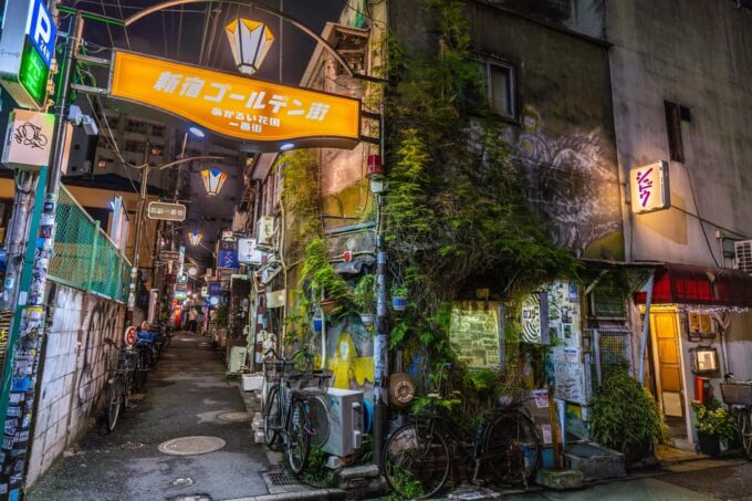 Tokyo: Shinjuku Golden Gai Bar Hopping That Only Locals Know - Navigating the Bar Hopping Experience