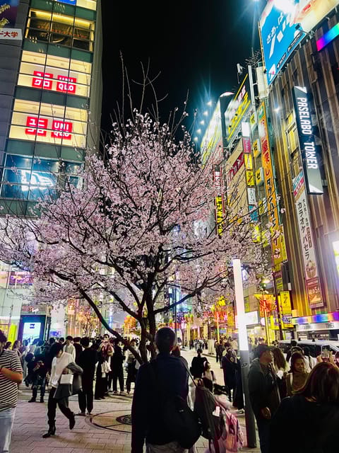 Tokyo: Shinjuku Kabukicho & Golden Gai Walking Tour - Highlights