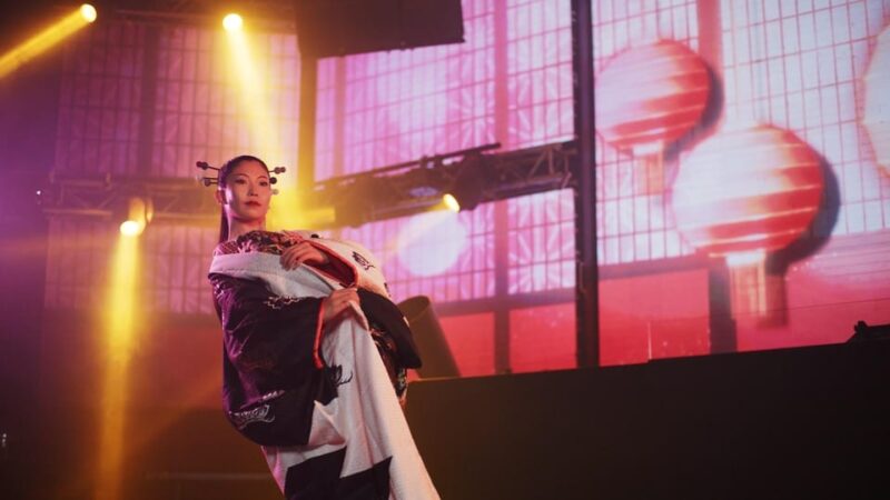 Tokyo: Shinjuku Ninja Live Show Ticket - Show Experience