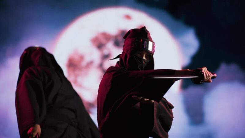 Tokyo: Shinjuku Ninja Live Show Ticket - Accessibility and Amenities