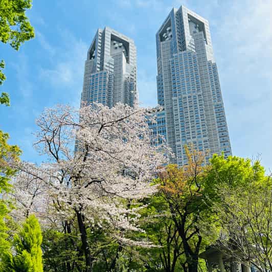 Tokyo: Shinjuku Panorama & Peace Tour With Izakaya Dinner - Key Points