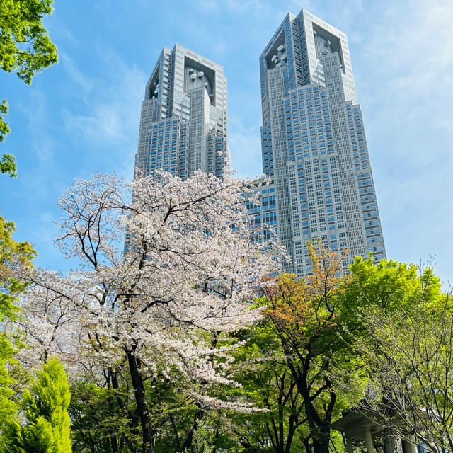 Tokyo: Shinjuku Panorama & Peace Tour With Izakaya Dinner - Cancellation Policy
