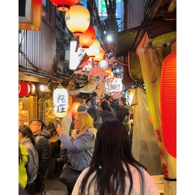 Tokyo: Shinjuku Panorama & Peace Tour With Izakaya Dinner - Highlights of the Tour