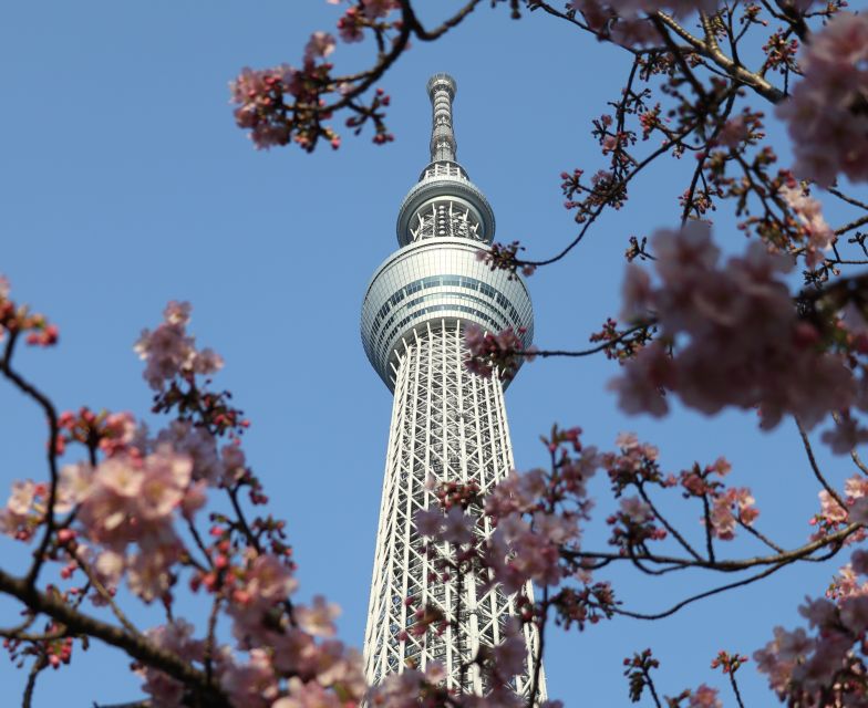 Tokyo Skytree: Admission Ticket and Private Hotel Pickup - Panoramic City Views