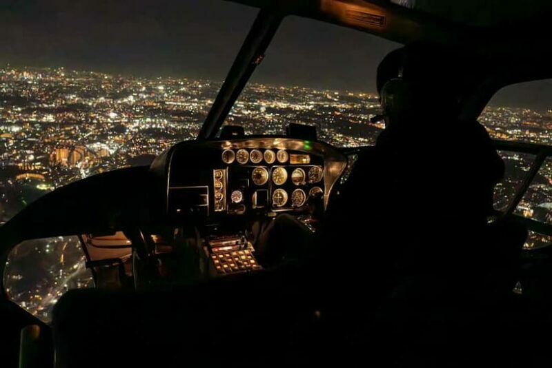 Tokyo: Skytree and Tokyo Tower Helicopter Tour - Who Will Love This Tour?