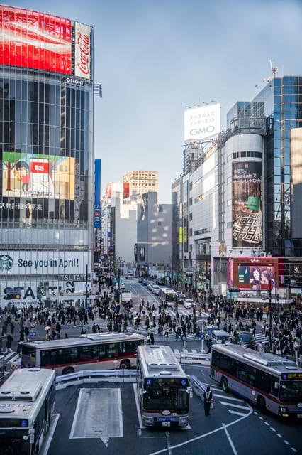 Tokyo Snapshot 4 Day - One Life Adventures - Optional Activities