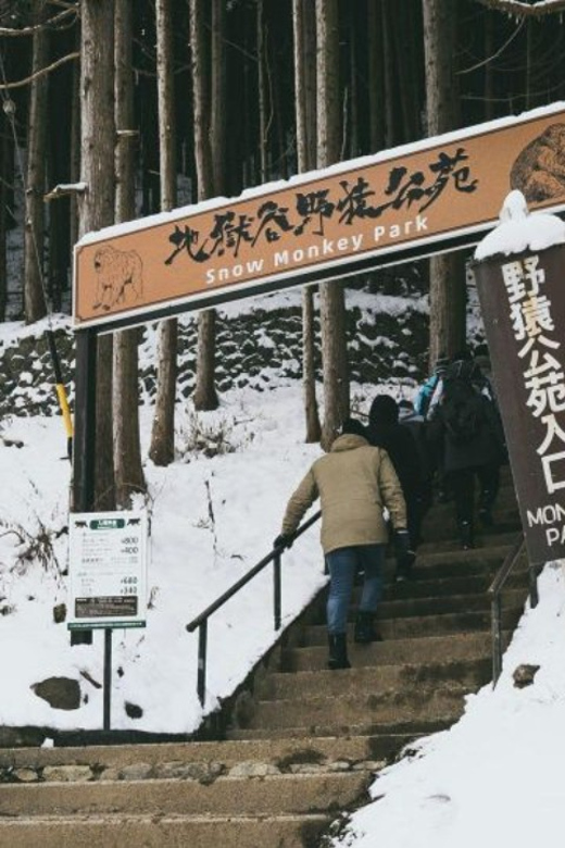 Tokyo: Snow Monkey Park & Zenkoji Temple Private Day Tour - Shibu Onsen
