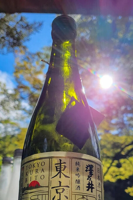 Tokyo: Sommelier Sake Tasting in Okutama - Important Considerations