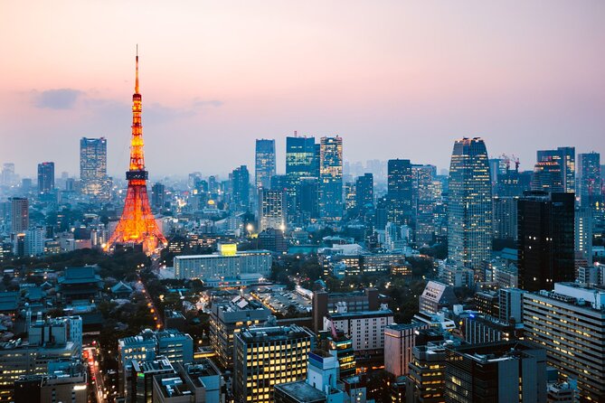 Tokyo Subway Ticket - Traveler Requirements