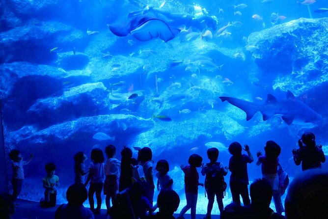 Tokyo Sumida Aquarium E-Ticket With Optional Tokyo Metro Pass - Getting to the Sumida Aquarium