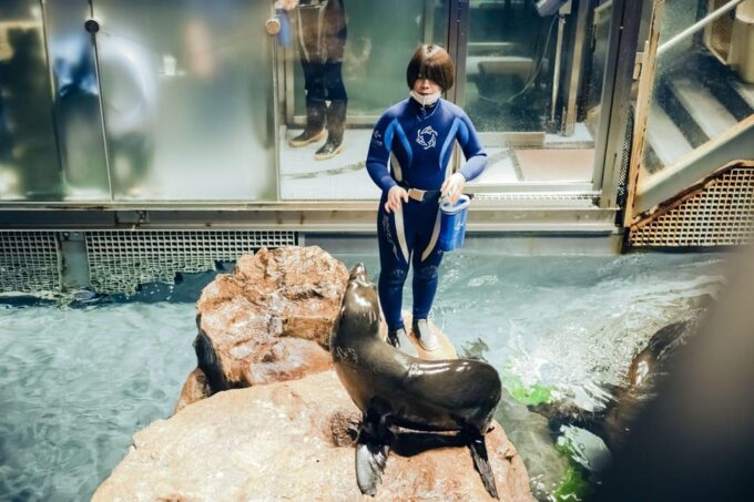 Tokyo: Sumida Aquarium Entry Ticket - Reasons to Visit the Sumida Aquarium