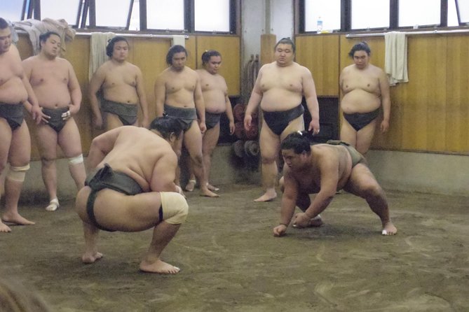 Tokyo Sumo Morning Practice Tour at Stable - Photography and Items Restrictions