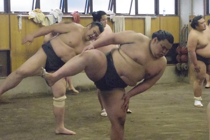 Tokyo Sumo Morning Practice Tour at Stable - Additional Tour Information