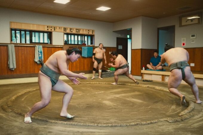 Tokyo: Sumo Morning Practice Tour at Sumida City - What to Expect During the Tour