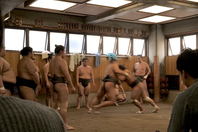 Tokyo Sumo Morning Practice Tour W/ Ring-Side Seat + Photo Shoot - Photo Opportunities With the Wrestlers
