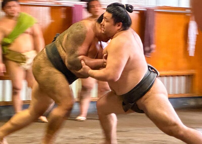 Tokyo: Sumo Morning Practice Tour With Expert Reporter - Itinerary Details