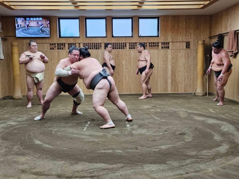 Tokyo Sumo Morning Practice Tour With Private Car Transfer - Highlights of the Experience