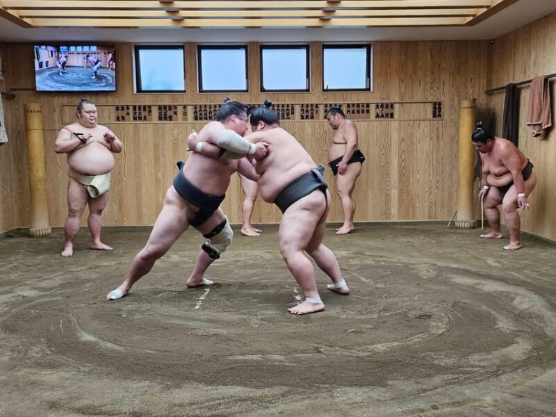 Tokyo Sumo Morning Practice Tour With Private Car Transfer - Restrictions and Considerations