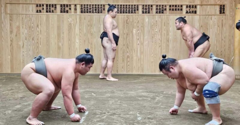 Tokyo Sumo Morning Practice Tour With Private Car Transfer - Reservation and Pick-up Details