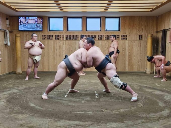 Tokyo Sumo Morning Practice Tour With Private Car Transfer - Practice Schedule and Duration
