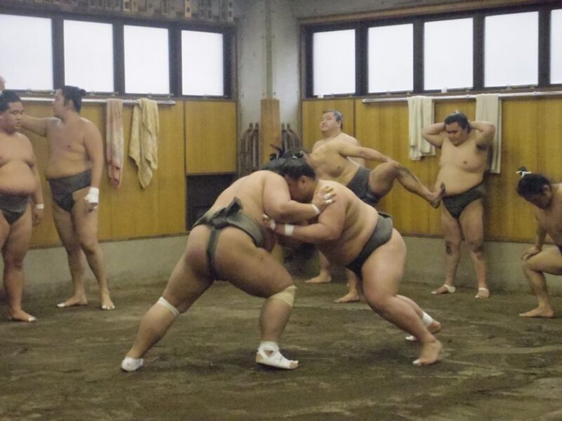 Tokyo: Sumo Morning Practice Viewing Tour - Itinerary and Meeting Details