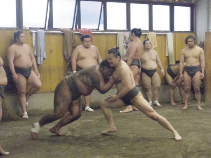 Tokyo: Sumo Morning Practice Viewing Tour - History and Tradition of Sumo Wrestling