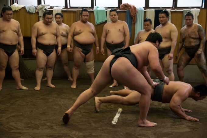 Tokyo: Sumo Morning Practice Viewing Tour - What to Expect During the Practice Session