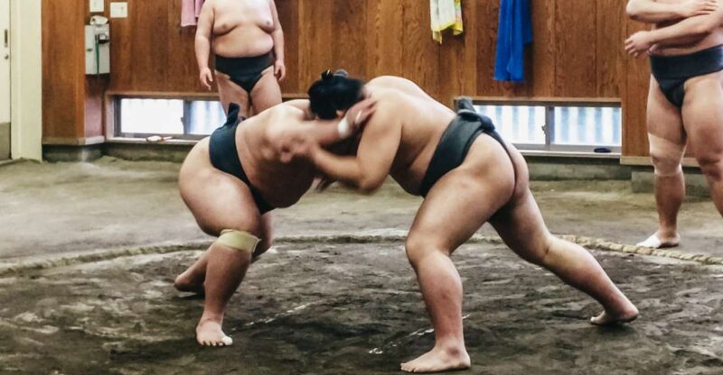Tokyo: Sumo Morning Training Visit - Visiting a Sumo Stable