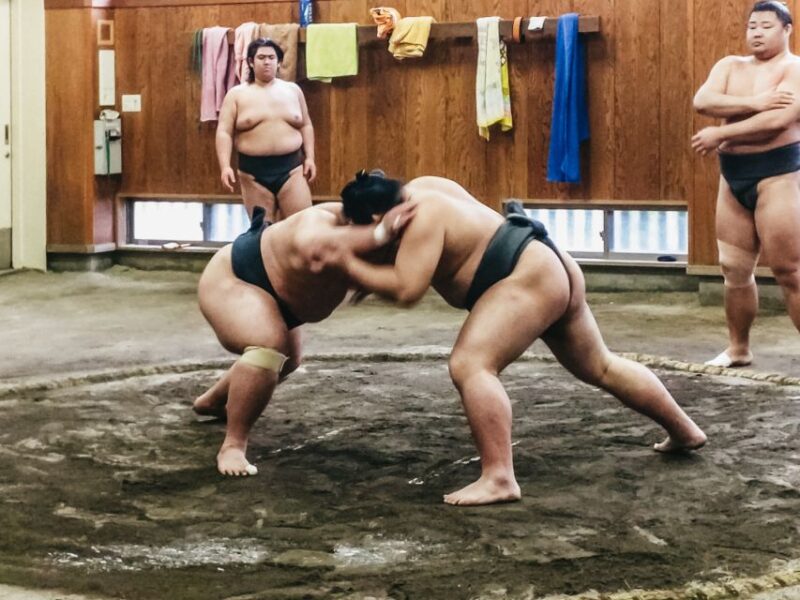 Tokyo: Sumo Morning Training Visit - Observing Sumo Wrestlers Training