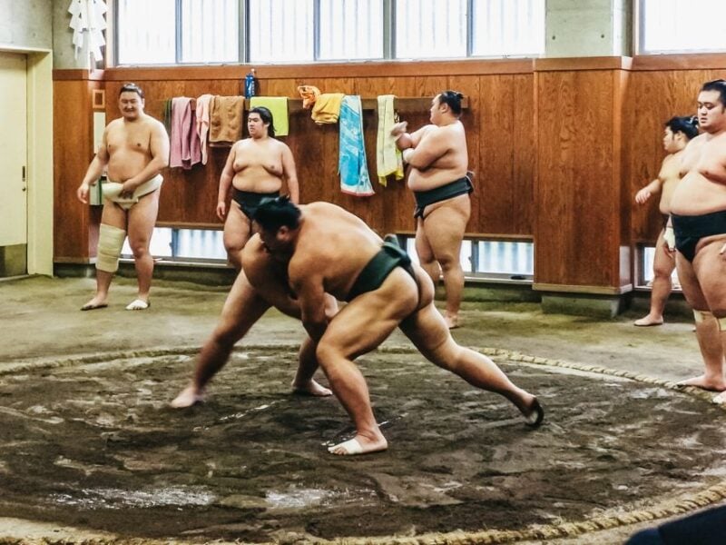 Tokyo: Sumo Morning Training Visit - Getting Access and Permissions
