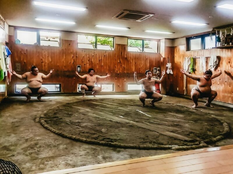 Tokyo: Sumo Morning Training Visit - Practical Considerations and Logistics
