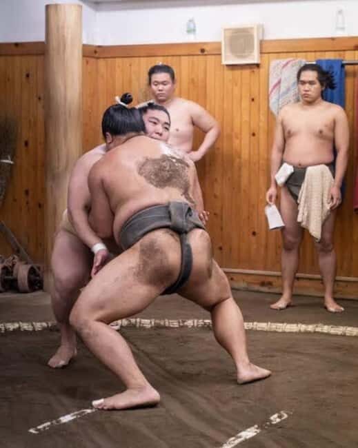 Tokyo: Sumo Show and Experience in Shinjuku - What to Expect During the Tour