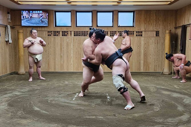 Tokyo Sumo Wrestling Morning Practice Tour With Private Transfer - Key Points