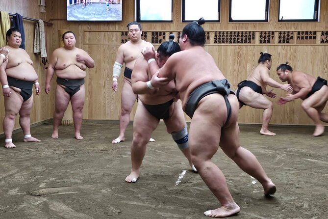 Tokyo Sumo Wrestling Morning Practice Tour With Private Transfer - What to Expect During the Sumo Practice Tour